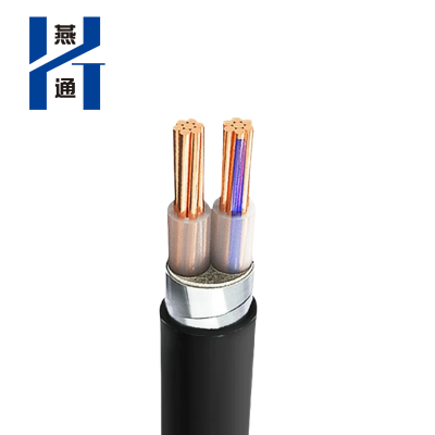 燕通 YJV22两芯铠装电源线 0.6/1KV-YJV22-2*25平方/米