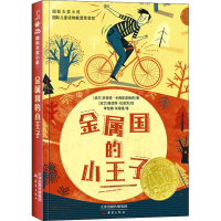 醉染图书金属国的小王子9787530768327