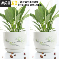 三维工匠花盆陶瓷大号特大号带托盘绿萝吊兰塑料家用创意多肉花盆 两个大号玉兰满枝 大花盆容器