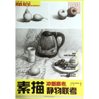 音像素描静物联考/实践教学美术高考系列丛书王纵