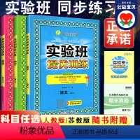 [3本套装]语数英-人教版 四年级下 [正版]2024春新版江苏实验班提优训练四年级下册语文人教版RJ数学苏教版SJ英语