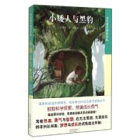 正版新书]小矮人与黑豹/少年科学探险小说刘兴诗|绘画:袁亚欢978