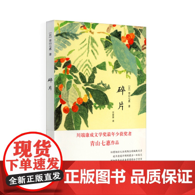 碎片 青山七惠 上海译文出版社 正版书籍