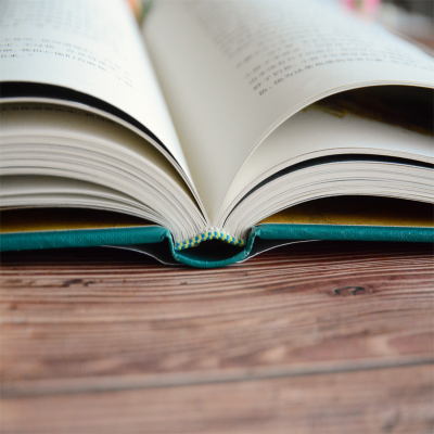 醉染图书柳林风声9787511