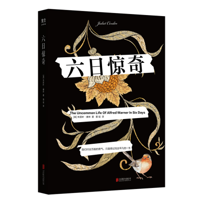 醉染图书六日惊奇9787559654083