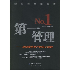 正版新书]第一管理祁有红 祁有金9787200065817