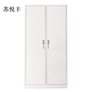 苏悦丰加厚二门钢制更衣柜员工柜铁皮职工储物柜带锁存包柜鞋柜