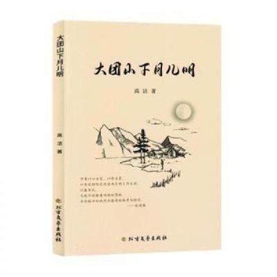 正版新书]大团山下月儿明高洁9787531760610