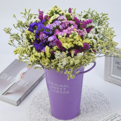 三维工匠云南勿忘我满天星干花花束鲜花真花批发插花装饰客厅摆件花卉礼物混色（颜色可选）+黄水晶一斤加花瓶