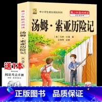 [1本]汤姆.索亚历险记 [正版]鲁滨逊漂流记六年级下册必读的课外书快乐读书吧尼尔斯骑鹅旅行记爱丽丝梦游仙境原著完整版漫