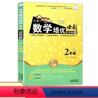 [正版]新版 小学数学培优必刷1000题 二年级 数学 小学2年级上下册通用 阶梯数学讲练结合衔接奥数达标测试训练辅导