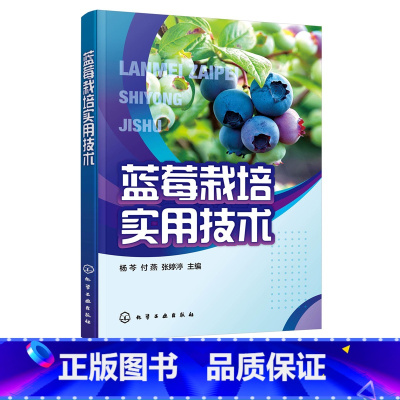 [正版]蓝莓栽培实用技术 杨芩 蓝莓栽培技术蓝莓质栽培 蓝莓绿色无公害培育蓝莓病虫害防治 果农技术人员农业院校师生阅读