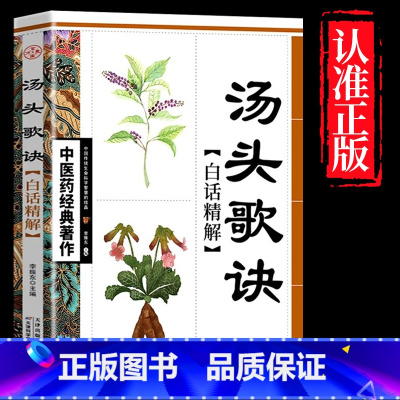 汤头歌诀 [正版]全4册中医书籍大全药王孙思邈+神医华佗+医祖扁鹊+医圣张仲景中医基础理论本草纲目黄帝内经中医四大名著中