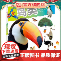 DK小科学馆·鸟类