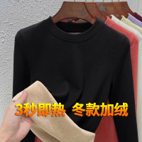 秋冬季内搭德绒长袖打底衫女款新款圆领修身保暖内衣洋气上衣