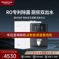 汉斯顿净水器家用直饮0阻垢剂ro反渗透纯水机厨房净水机S1(S90)