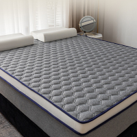 域赢 环保椰棕床垫 不含乳胶 尺寸:80*190*10cm
