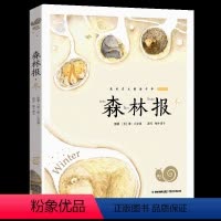 森林报冬 [正版]兔子坡注音版蜗牛小书坊有声读物一年级二年级三年级人教课外必读书籍儿童小学生阅读图书图画绘本破故事绘会汇