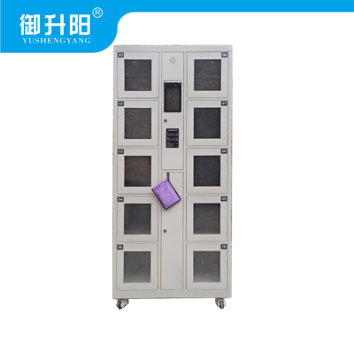 御升阳 电动工具充电柜 SY-CDG0081Z 十门 主柜 个