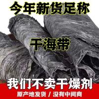 霞浦特产整条海带新货福建霞浦昆布日晒带头厚实商用散装煲汤干货批发