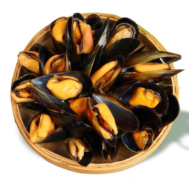海虹 青口贻贝 淡菜 鲜活贝类海鲜水产 5斤中号