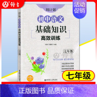 7年级 基础知识高效训练 初中通用 [正版]初中课外文言文阅读周计划高效训练120篇 七八九年级现代文阅读周计划 789