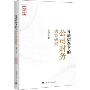 醉染图书异质信念下的公司财务决策研究9787208154520