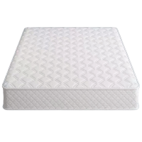 鑫睿辉 床垫 1200*2000mm 个