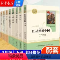 [八年级上下册]名著阅读课程化(全8册) [正版]八年级课外阅读全6册 名人传 钢铁是怎样炼成的 给青年的十二封信 苏菲