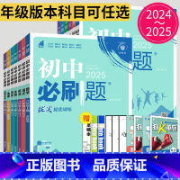地理 人教版 七年级上 [正版]2025初中必刷题七年级八年级九年级下册上册数学英语物理化学生物历史道德与法治地