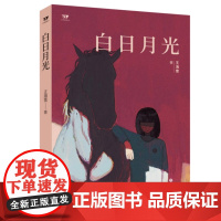 正版 文学新势力第二辑 白日月光 王海雪 著 著名文学评论家张莉鼎力,海岛女作家精品小说合集 济南出版社