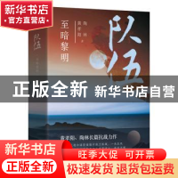正版 队伍:至暗黎明 黄孝阳//陶林 北京十月文艺出版社 978753021