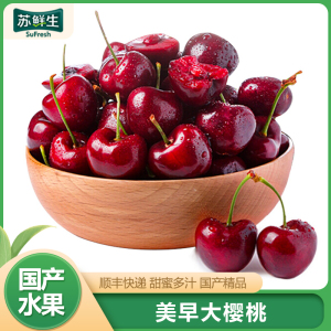 顺丰快递[苏鲜生]大连美早大樱桃 车厘子 JJ级 净重1.8斤