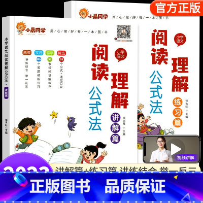 [2册套]讲解篇❤️练习篇 小学通用 [正版]小学语文阅读理解公式法全套一二三四五六年级阅读理解专项训练书每日一练阅读答