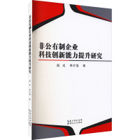 非公有制企业科技创新能力提升研究
