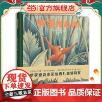 胖果找太阳
