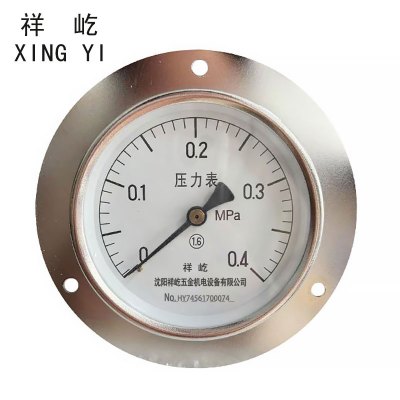祥屹+轴向带边压力表检测定制型+Y100ZT+块