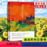 [正版]遥远的向日葵地 李娟编著 记一忘二三中国现当代随笔文学作品我的阿勒泰的角落非虚构散文力作冬牧场
