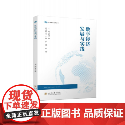 数字经济发展与实践陈小辉信息技术经济发展