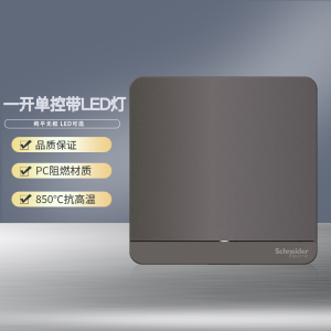 [官方旗舰店]施耐德电气开关插座绎尚荧光色北欧风86型大面板家用墙壁式10A五孔一开双控弱电空调USB电源插座