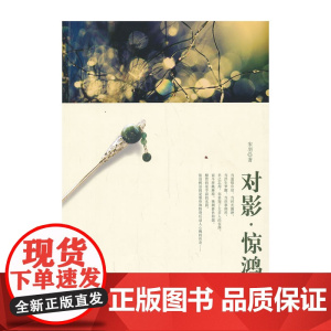 对影 惊鸿