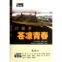 音像苍凉青春/黄土地之歌白描
