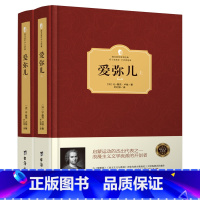 [2册]卢俊: 爱弥儿(精装) [正版]忏悔录 卢梭著 精装两册全译本 文学巨作原著中文版世界名著书籍 小说原版无删减初