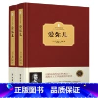 [2册]卢俊: 爱弥儿(精装) [正版]忏悔录 卢梭著 精装两册全译本 文学巨作原著中文版世界名著书籍 小说原版无删减初
