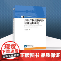 正版 知识产权侵权纠纷法律适用研究 兰丹丹 知识产权出版社 9787513078344