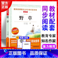 [鲁迅经典 ]野草 [正版]野草鲁迅原著小学三四五六年级上册课外书必读老师人教版爱阅读课程化丛书快乐读书吧天地出版社散文