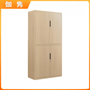 伽隽 办公柜 900*400*1850mm 个