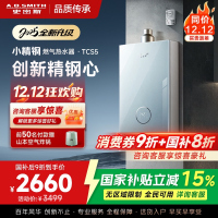 史密斯佳尼特[小精钢TCS5]16升精钢燃气热水器 国家补贴 JSQ31-TCS5 安全守护 持久恒温大水量 新品