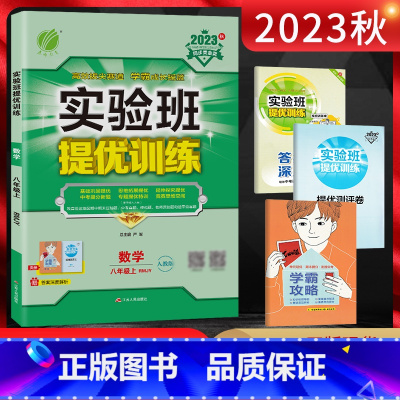 数学 八年级上 [正版]2023秋 实验班提优训练八年级数学上册 人教版RMJY 初二8年级数学上学期同步课时训练尖子生