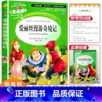 [正版]选爱丽丝漫游奇境记书小学生课外阅读书籍三四五六年级下册必读经典书目快乐读书吧青少年儿童文学故事书梦游仙境